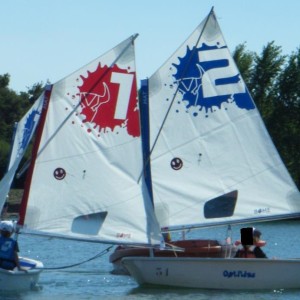 Voile Optimist Lot de 5 voiles